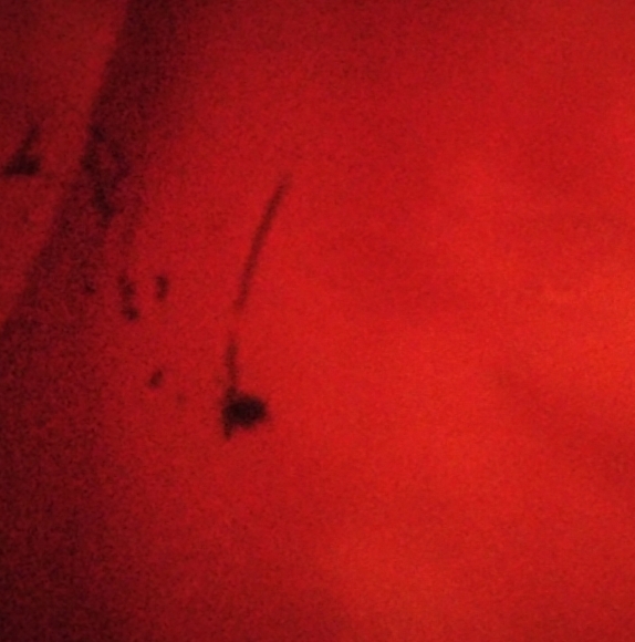 Vera Bradley Pixie Confetti - Picture 11 of 12